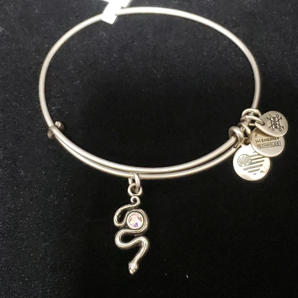 NWT Alex & Ani Rafaelian Silver Snake & Swarovski Crystal 2017 - Picture 4 of 13